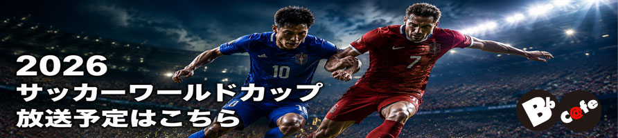 サッカーワールドカップ放送スケジュールはこちら