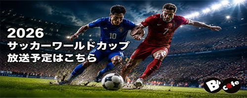 サッカーワールドカップ放送スケジュールはこちら